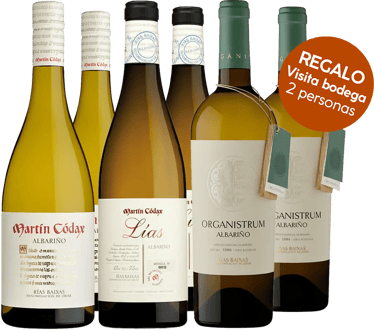 Pack Degustación Martín Códax – Vinos de la DO Rías Baixas + Visita Guiada a la Bodega para Dos Personas