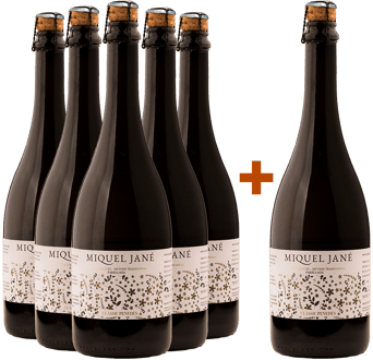 Pack descuento 5 + 1 Parellada Clàssic Penedès DO BIO BIO
