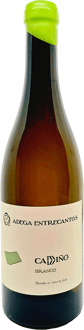 2023 Camiño Branco