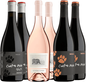 Pack Degustación Cuatro Pasos Bierzo DO