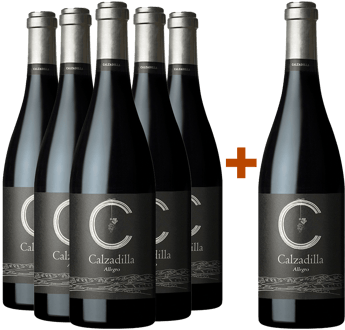 Pack Descuento 5+1 Allegro Pago Calzadilla Vp Bio