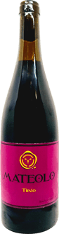 2022 Mateolo Tinto