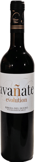2020 Avañate Evolution Ribera del Duero DO 2020 Avañate Evolution Ribera del Duero DO