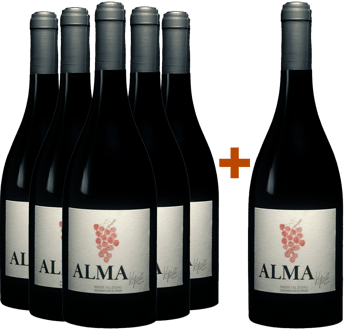 Pack Descuento 5+1 Alma Lopez Flor Ribera Del Duero Do Bio