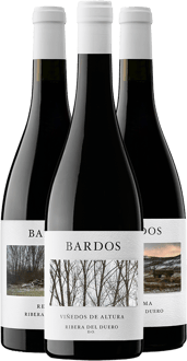 Pack Degustación Bardos Tintos Premium
