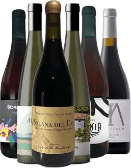 Pack degustación Cup de la Muntanya Alicante DO