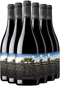 Pack Descuento Garnacha Salvaje del Moncayo