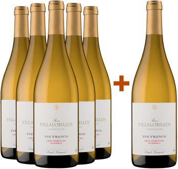 Pack Descuento 5+1 Finca Villalobillos Airén Pie Franco Barrica Castilla Vt