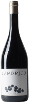 2012 Cámbrico Tempranillo Sierra de Salamanca DOP