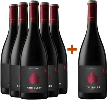 5+1 Paquete de degustación Siurana Negre Montsant DO