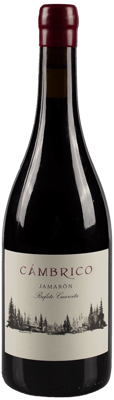 2019 Cámbrico Jamarón Sierra de Salamanca DOP
