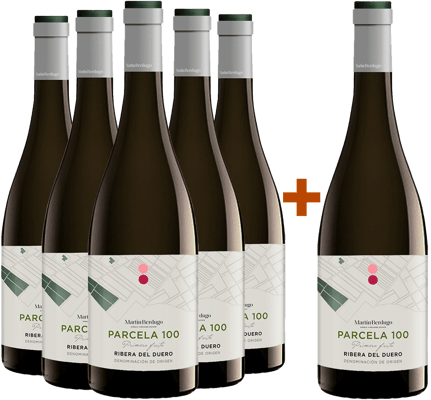 Pack descuento 5+1 Parcela 100 "Primera Fruta" Ribera del Duero DO BIO
