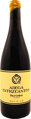 2021 Barcelas Tinto