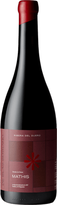 2014 Mathis Ribera del Duero DO