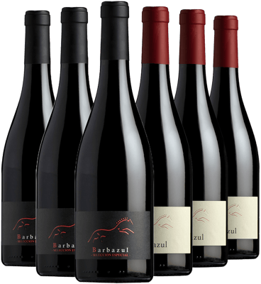 Pack degustación Huerta de Albalá vino tinto Cádiz VT