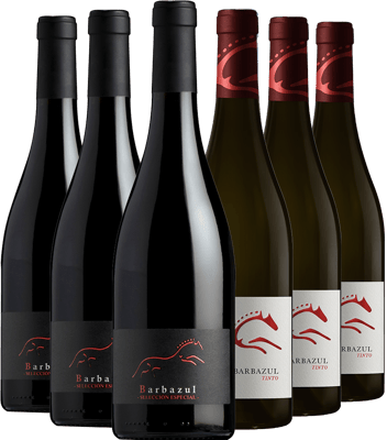 Pack degustación Huerta de Albalá vino tinto Cádiz VT