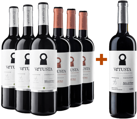 Pack descuento Fuentenebro y Crianza + Magnum gratis