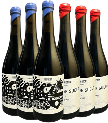 Pack Degustación 6 botellas Bodega Borbotón