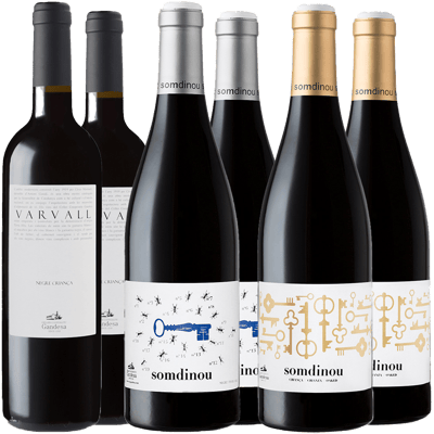 Pack degustación Cooperativa de Gandesa vino tinto Terra Alta DO BIO