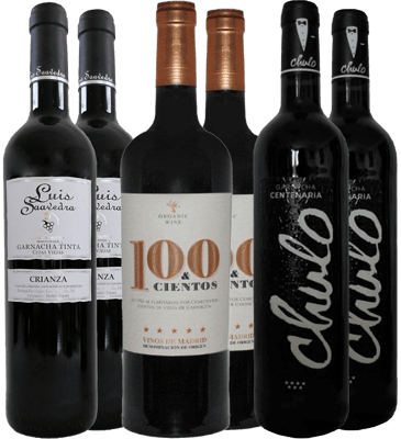 Pack descubrimiento Luis Saavedra Madrid DO