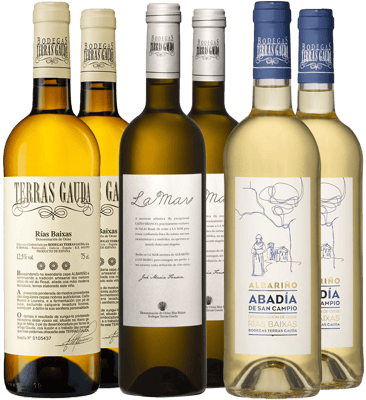 Pack degustación + cata online Terras Gauda (DO Rías Baixas) Pack degustación + cata online Terras Gauda (DO Rías Baixas)