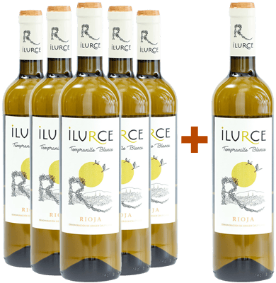 5+1 Ilurce Tempranillo Blanco Rioja DOCa