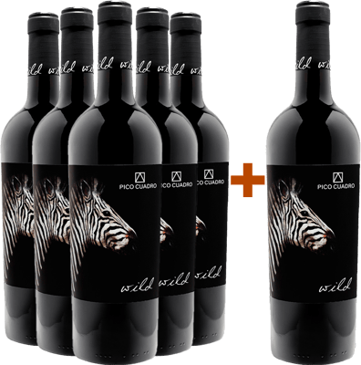 Pack descuento 5+1 Wild Ribera del Duero DO