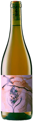 2023 Sans Domaine Procès