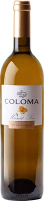 2023 Coloma Muscat Extremadura VT