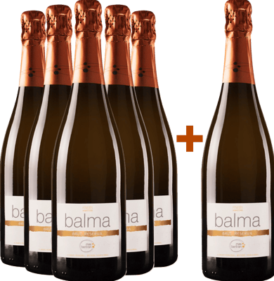 Pack descuento 5+1 Mas Bertran Brut Penedés DO BIO