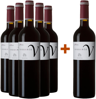 Pack descuento 5+1 Vessants