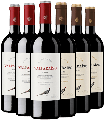 Pack descuento Valparaiso Ribera del Duero DO