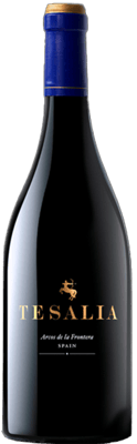 2020 Tesalia Cádiz VT