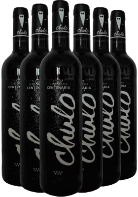 Pack descuento Chulo Crianza Madrid DO
