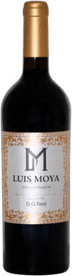 2022 Luis Moya Toro DO