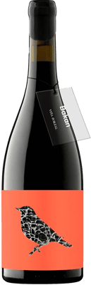 2024 Zorzal Bakan Navarra DO 2024 Zorzal Bakan Navarra DO