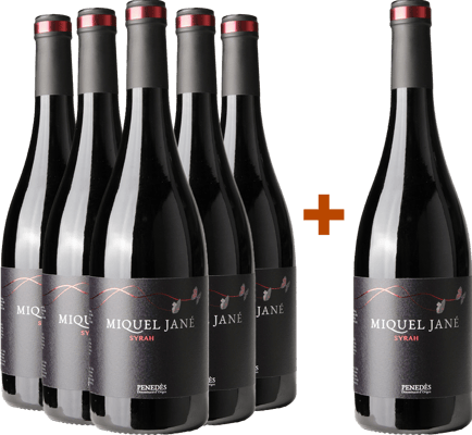 Pack descuento 5+1 Syrah Penedès DO BIO