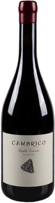 2016 Cámbrico Rufete Pocito Sierra de Salamanca DOP