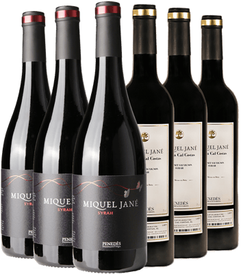 Pack degustación Tinto Miquel Jané Penedès DO