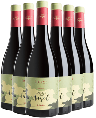 Pack Descuento Ángel Rioja DOCa