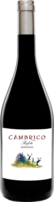 2021 Cámbrico Miranda Sierra de Salamanca DOP