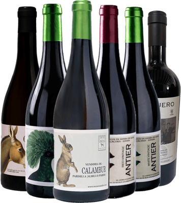 Pack degustación Recuero & Co