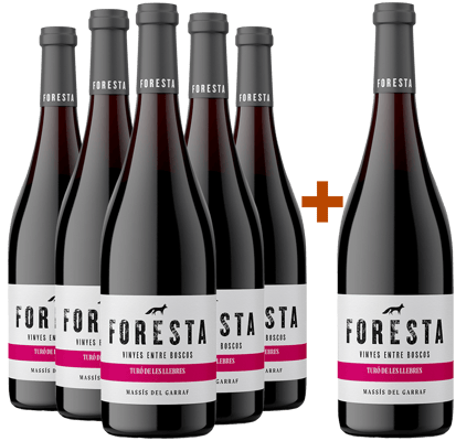 Pack Descuento 5+1 2022 Foresta Turó de les Llebres BIO DO Penedès BIO