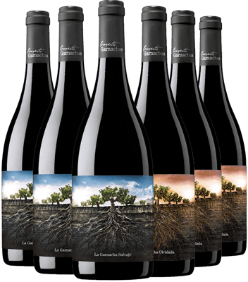 Pack Degustación Proyecto Garnachas