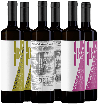 Pack degustación Besalduch Valls Bellmunt Castellón VT