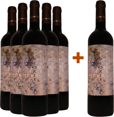 Pack descuento 5+1 Pedrís