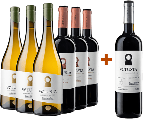 Pack descuento Fuentenebro y Albillo + Magnum gratis