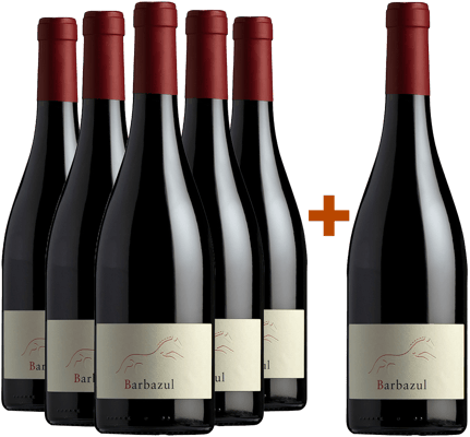 Pack descuento 5+1 Barbazul Tinto Cádiz VT