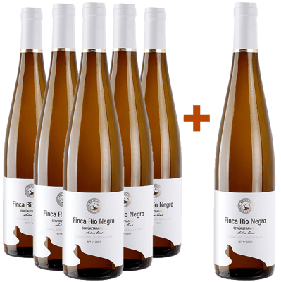 Pack Descuento 5+1 Gewürztraminer Castilla VT BIO