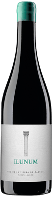 2023 Ilunum Tinto Castilla VT